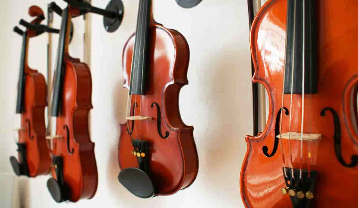 Compra un excelente violín